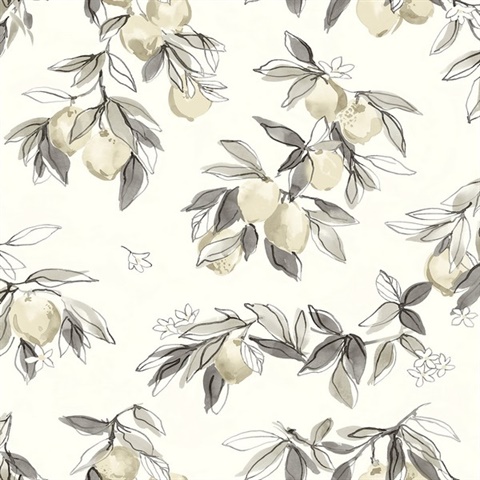 Lemonade Grey Citrus Fruit Wallpaper