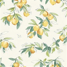 Lemonade Yellow Citrus Fruit Wallpaper