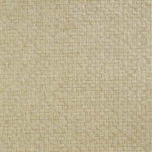 Lillian August Paperweave Cappuccino Wallpaper