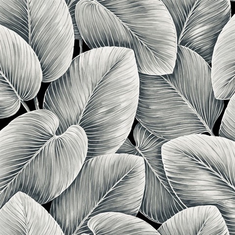 Lush Leaf Jet Wallpaper