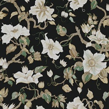 Marguerite Vine Black Wallpaper