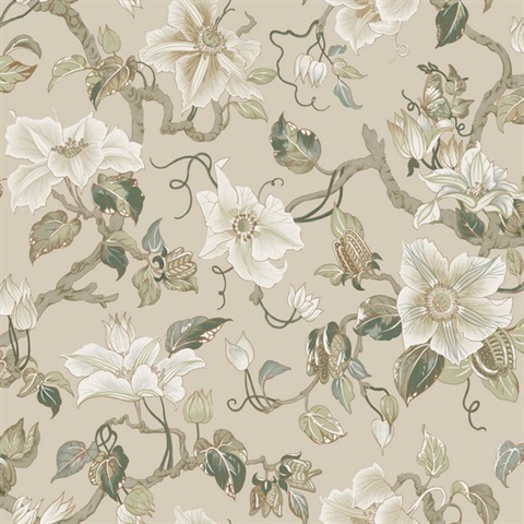 Marguerite Vine Taupe Wallpaper