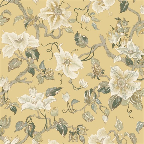 Marguerite Vine Yellow Wallpaper