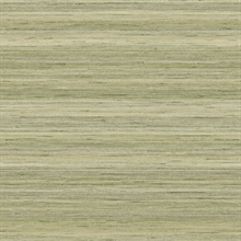 Meiya 27 Seagrass Horizontal Stria Wallpaper