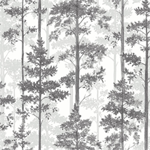 pine trees wallpaper