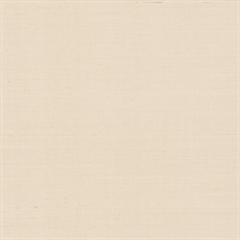 Plaster Beige Peel & Stick Natural Grasscloth Wallpaper