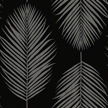 Port Lions Black Tie Large Palm Leaf Stripe Wallpaper