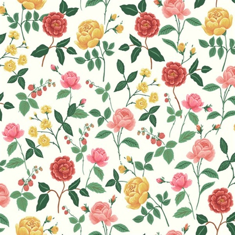 Roses Blush Floral Wallpaper