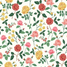 Roses Blush Floral Wallpaper