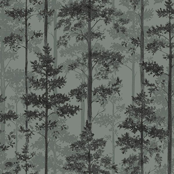 pine trees wallpaper