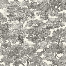 Spinney Black Toile Wallpaper