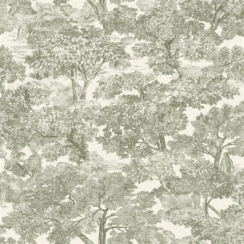 Spinney Green Toile Wallpaper