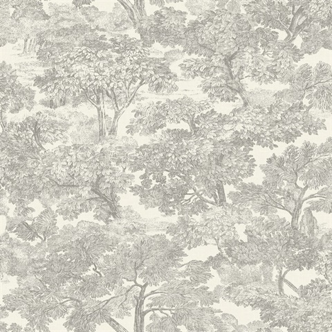 Spinney Grey Toile Wallpaper