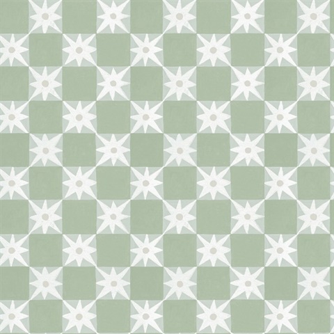 Stardust Green Checkerboard Peel & Stick Wallpaper