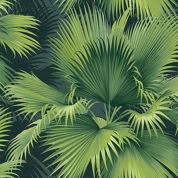 2927 Summer Palm Dark Green Tropical Leaf Wallpaper