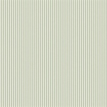 Ticking Light Green Stripe Wallpaper