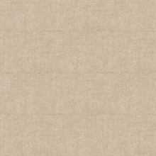 Tintura Beige