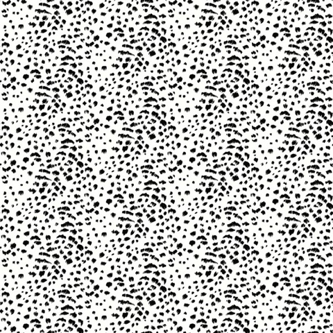 white cheetah wallpaper