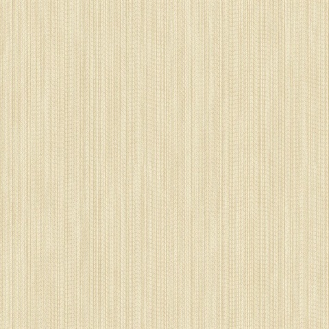 Vail Champagne Texture