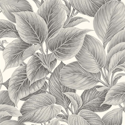 Wasilla Alaskan Grey Large Leaf Wallpaper