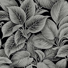 Wasilla Rocky Coast Large Leaf Wallpaper