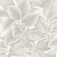 Wasilla Soft Grey Large Leaf Wallpaper