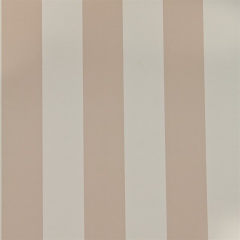 Wide Stripe Plaster