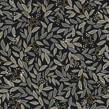 Willowberry Black Vine Wallpaper