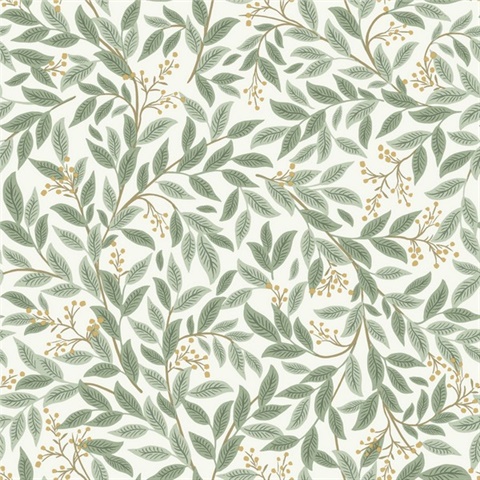 Willowberry Sage Vine Wallpaper