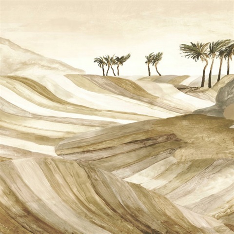 Zerzura Limestone Dune